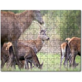 Cakapuzzle Çayırda Otlayan Ren Geyikleri Mdf 500 Parça Puzzle