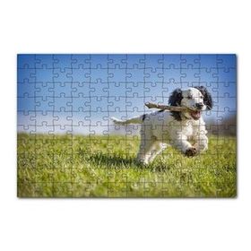 Cakapuzzle Çayırda Oyun Oynayan Sevimli Köpek 120 Parça Ahşap Puzzle
