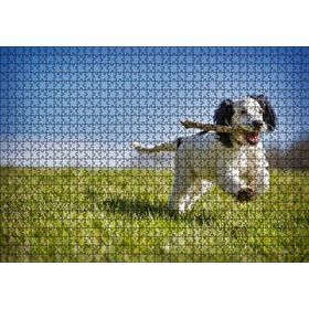 Cakapuzzle Çayırda Oyun Oynayan Sevimli Köpek 120 Parça Ahşap Puzzle