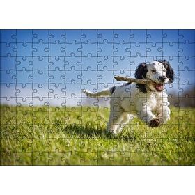 Cakapuzzle Çayırda Oyun Oynayan Sevimli Köpek 120 Parça Ahşap Puzzle