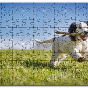 Cakapuzzle Çayırda Oyun Oynayan Sevimli Köpek Mdf 120 Parça Puzzle