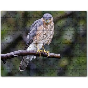 Cakapuzzle Çayırda Oyun Oynayan Sevimli Köpek Mdf 120 Parça Puzzle