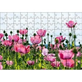 Cakapuzzle Çayırda Pembe Gelincikler ve Gökyüzü 120 Parça Ahşap Puzzle