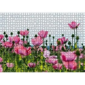 Cakapuzzle Çayırda Pembe Gelincikler ve Gökyüzü Mdf 1000 Parça Puzzle