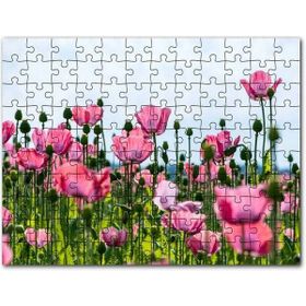 Cakapuzzle Çayırda Pembe Gelincikler ve Gökyüzü Mdf 255 Parça Puzzle