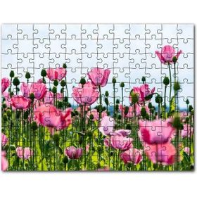 Cakapuzzle Çayırda Pembe Gelincikler ve Gökyüzü Mdf 255 Parça Puzzle