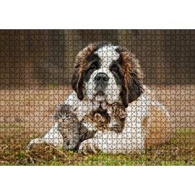 Cakapuzzle Çayırda Sen Bernard ve Kucağında Yavru Kediler Mdf 1000 Parça Puzzle