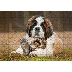 Cakapuzzle Çayırda Sen Bernard ve Kucağında Yavru Kediler Mdf 255 Parça Puzzle
