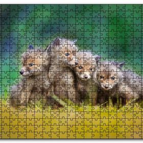 Cakapuzzle Çayırda Sevimli Tilki Yavruları Mdf 120 Parça Puzzle