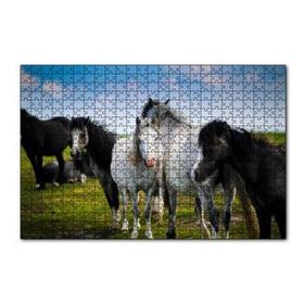Cakapuzzle Çayırda Siyah ve Beyaz Atlar 120 Parça Ahşap Puzzle
