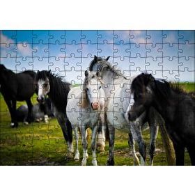 Cakapuzzle Çayırda Siyah ve Beyaz Atlar 120 Parça Ahşap Puzzle