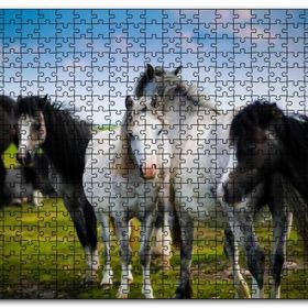 Cakapuzzle Çayırda Siyah ve Beyaz Atlar Mdf 120 Parça Puzzle