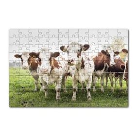 Cakapuzzle Çayırda Tel Örgünün Kenarında İnekler 120 Parça Ahşap Puzzle