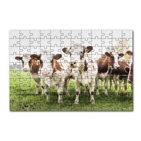 Cakapuzzle Çayırda Tel Örgünün Kenarında İnekler 120 Parça Ahşap Puzzle