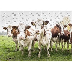 Cakapuzzle Çayırda Tel Örgünün Kenarında İnekler 120 Parça Ahşap Puzzle