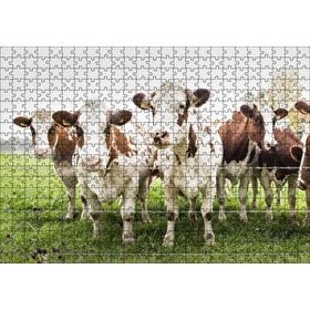 Cakapuzzle Çayırda Tel Örgünün Kenarında İnekler 120 Parça Ahşap Puzzle