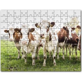 Cakapuzzle Çayırda Tel Örgünün Kenarında İnekler Mdf 500 Parça Puzzle