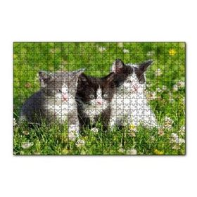 Cakapuzzle Çayırda Üç Yavru Kedi 120 Parça Ahşap Puzzle