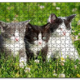 Cakapuzzle Çayırda Üç Yavru Kedi Mdf 1000 Parça Puzzle