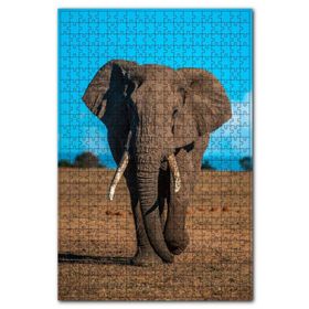 Cakapuzzle Çayırda Yetişkin Afrika Fili Ahşap 1000 Parça Puzzle