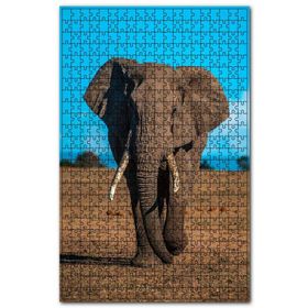 Cakapuzzle Çayırda Yetişkin Afrika Fili Ahşap 500 Parça Puzzle