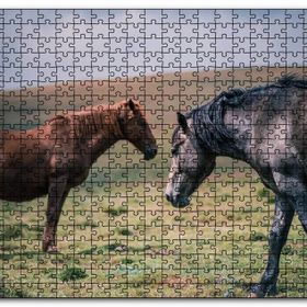 Cakapuzzle Çayırda Yılkı Atları Mdf 120 Parça Puzzle