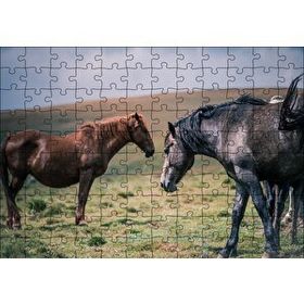 Cakapuzzle Çayırda Yılkı Atları Mdf 120 Parça Puzzle