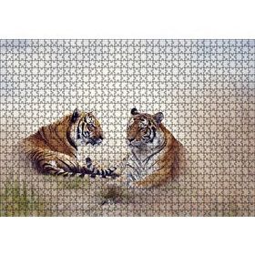 Cakapuzzle Çayırdaki Kaplan Çifti 120 Parça Ahşap Puzzle