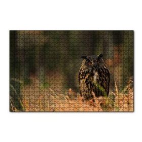 Cakapuzzle Çayırdaki Kırmızı Gözlü Baykuş 120 Parça Ahşap Puzzle