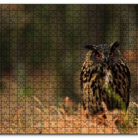 Cakapuzzle Çayırdaki Kırmızı Gözlü Baykuş Mdf 1000 Parça Puzzle