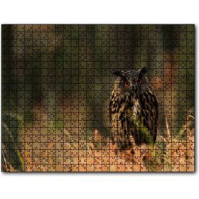 Cakapuzzle Çayırdaki Kırmızı Gözlü Baykuş Mdf 1000 Parça Puzzle