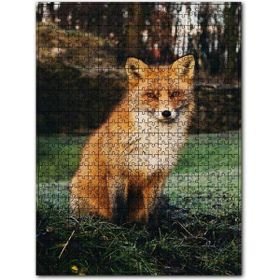 Cakapuzzle Çayırdaki Kızıl Tilki Poz Veriyor Ahşap 1000 Parça Puzzle
