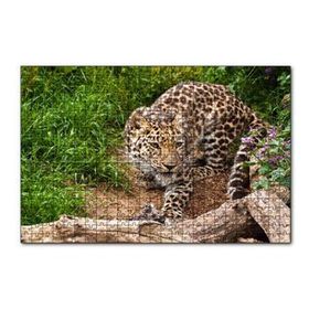 Cakapuzzle Çayırdaki Leopar Pusuda 120 Parça Ahşap Puzzle