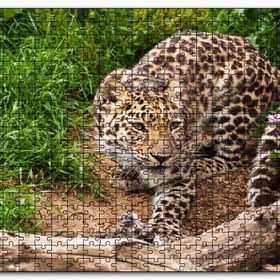 Cakapuzzle Çayırdaki Leopar Pusuda Mdf 120 Parça Puzzle