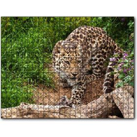 Cakapuzzle Çayırdaki Leopar Pusuda Mdf 500 Parça Puzzle