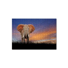 Cakapuzzle Çayırdaki Yetişkin Fil ve Kızıl Gökler 120 Parça Ahşap Puzzle
