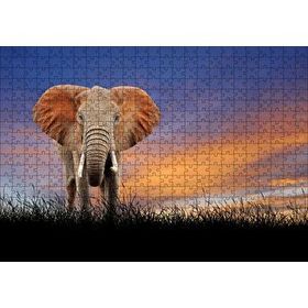 Cakapuzzle Çayırdaki Yetişkin Fil ve Kızıl Gökler Mdf 500 Parça Puzzle