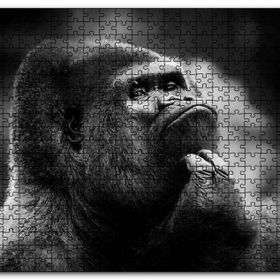 Cakapuzzle Çenesini Kaşıyan Goril Görseli Mdf 500 Parça Puzzle
