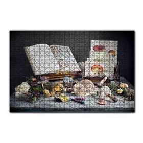 Cakapuzzle Çeşitli Mantarlar ve Mantarlara Dair Kitaplar 120 Parça Ahşap Puzzle