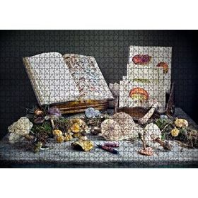 Cakapuzzle Çeşitli Mantarlar ve Mantarlara Dair Kitaplar 120 Parça Ahşap Puzzle