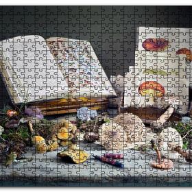 Cakapuzzle Çeşitli Mantarlar ve Mantarlara Dair Kitaplar Mdf 120 Parça Puzzle