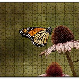 Cakapuzzle Çiçek Üzerindeki Muhteşem Kelebek Mdf 120 Parça Puzzle