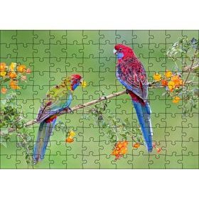 Cakapuzzle Çiçekli Dal Üzerindeki Renkli Papağanlar 120 Parça Ahşap Puzzle