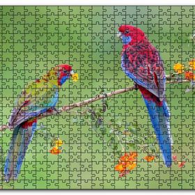 Cakapuzzle Çiçekli Dal Üzerindeki Renkli Papağanlar Mdf 120 Parça Puzzle