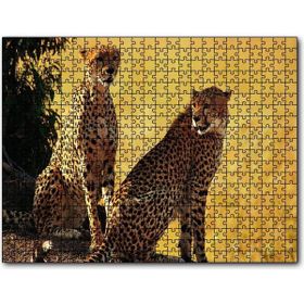 Cakapuzzle Çift Leopar 255 Parça Puzzle