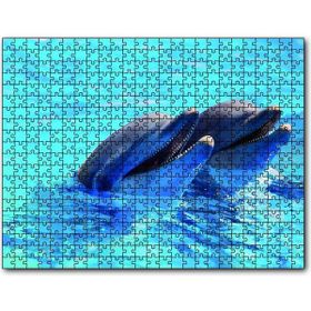 Cakapuzzle Çift Yunuslar 1000 Parça Puzzle
