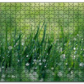 Cakapuzzle Çimenler ve Su Damlaları Mdf 1000 Parça Puzzle