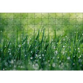 Cakapuzzle Çimenler ve Su Damlaları Mdf 120 Parça Puzzle
