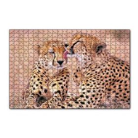 Cakapuzzle Çita Ailesi Temizleniyor 120 Parça Ahşap Puzzle