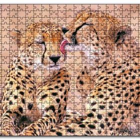 Cakapuzzle Çita Ailesi Temizleniyor Mdf 120 Parça Puzzle